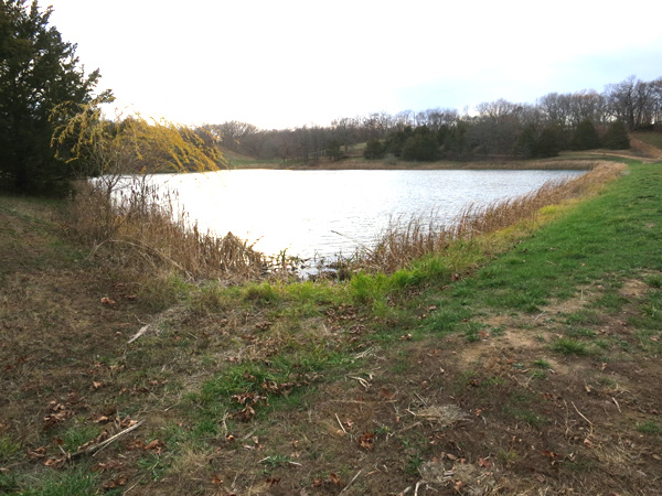 View of part of Wapello county Iowa lake on 121 acres for sale